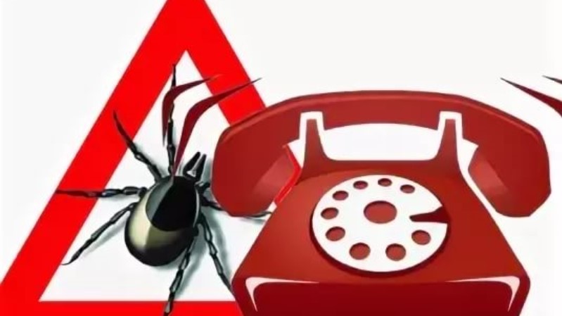 «Горячая линия» по вопросам профилактики клещевого энцефалита и других инфекций, передающихся клещами.
