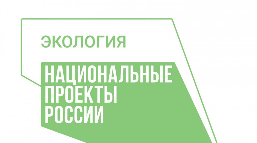 В 2024 году в крае планируется очистить от мусора более 800 км береговых линий.