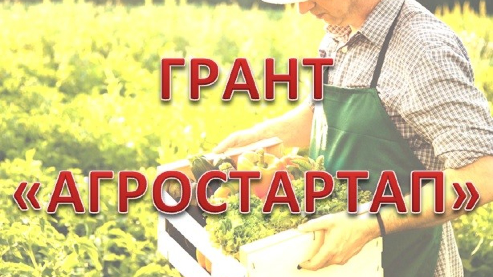 Объявление о проведении отбора получателей грантов «Агростартап».
