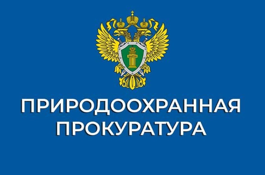 Красноярская природоохранная прокуратуру информирует.