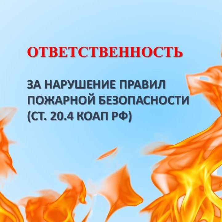 Планируете жечь траву и сухие листья на участке?.