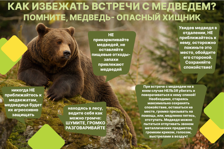 Методические рекомендации по организации работы органов местного самоуправления в целях обеспечения безопасности жизни и здоровья граждан в связи с заходом медведей в населенные территории.